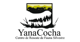 Yana Cocha